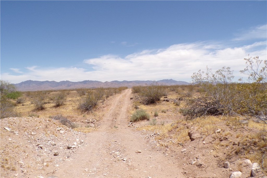Picture 25