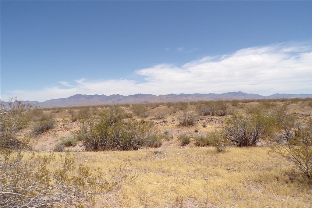 Picture 23