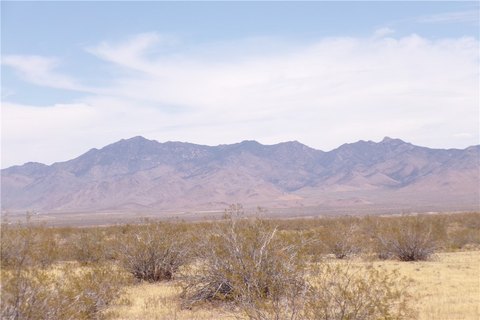 Dolan Springs Land For Sale