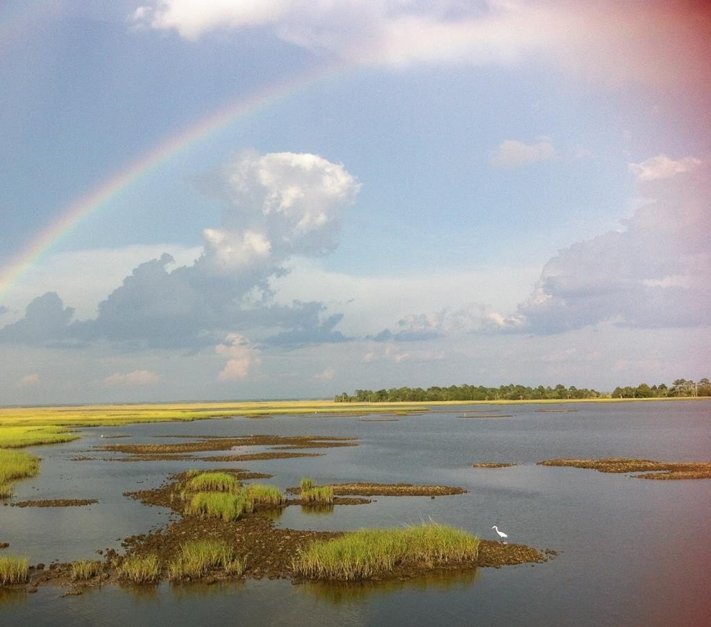 Gulf Front Land in Horseshoe
