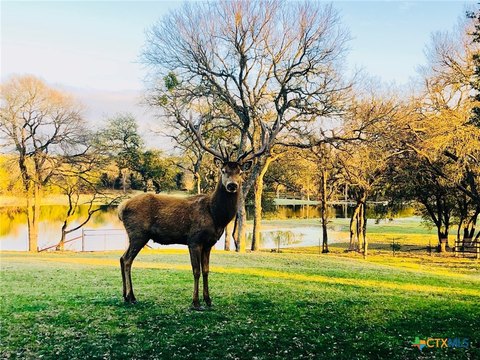 Texas Hill Country Ranch Land