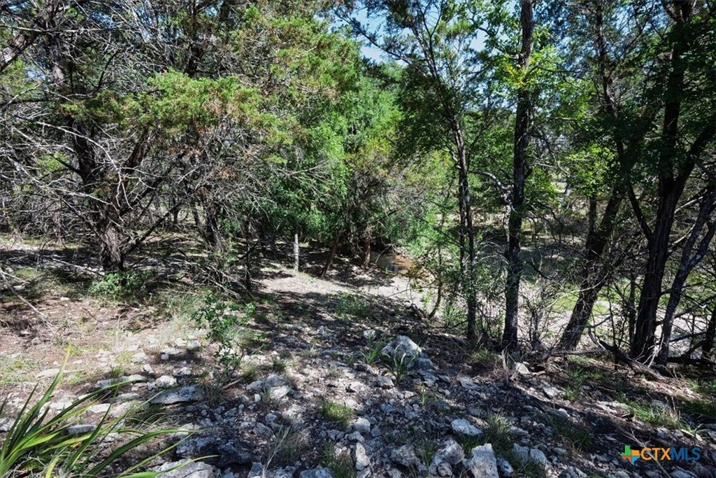 Picture 30