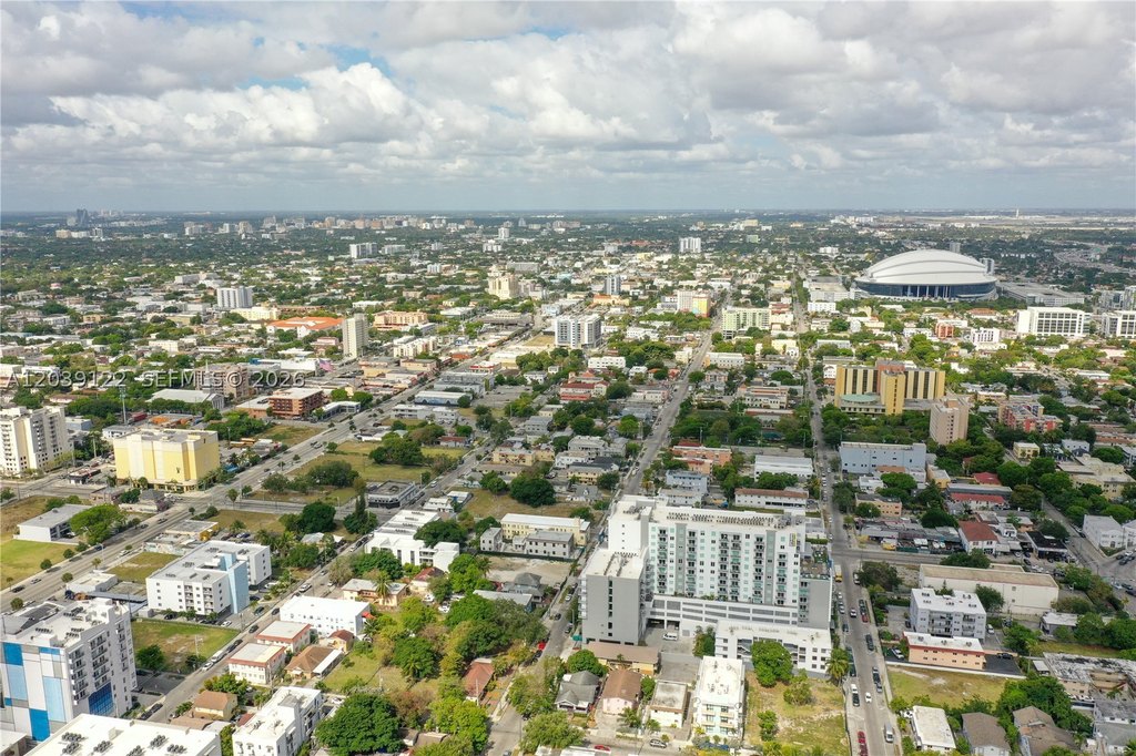 Picture 17