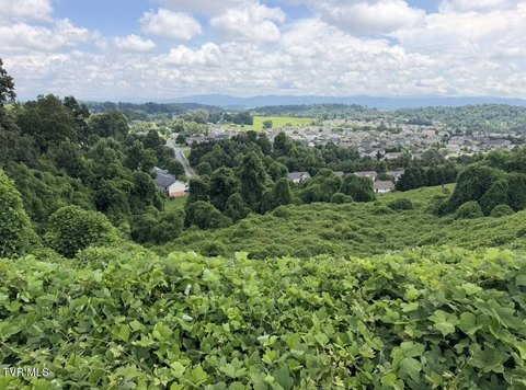 LAND - Jonesborough, TN