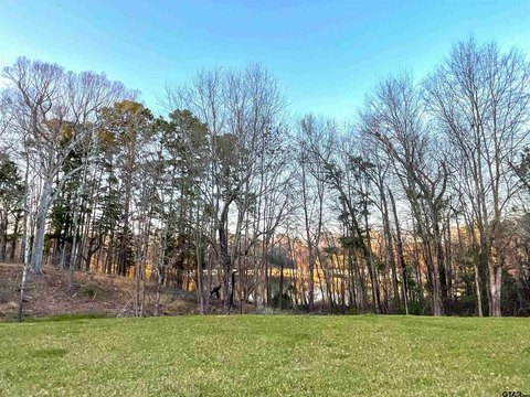 Waterfront Lot on Lake Tyler