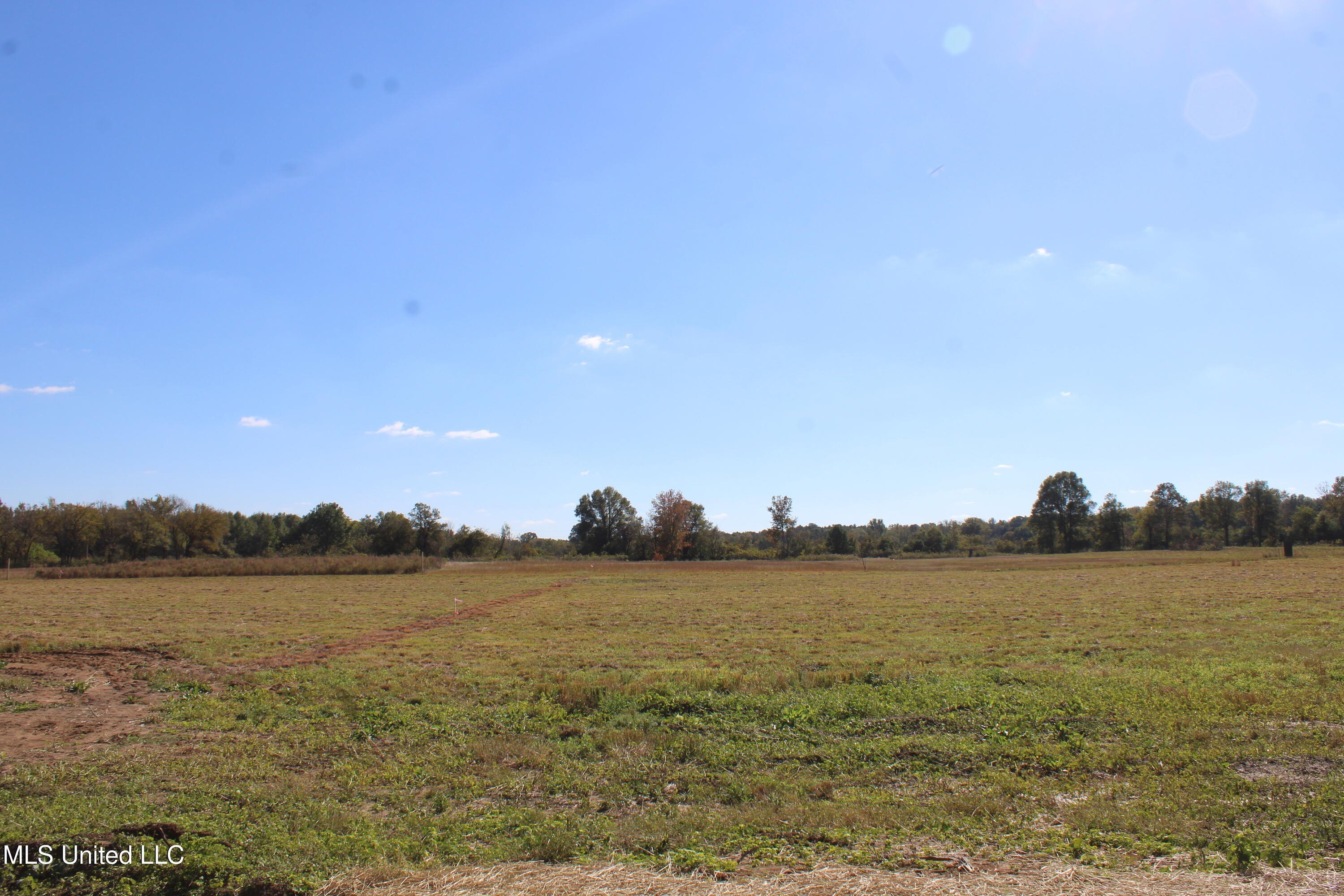Land in Bryan Road Farms