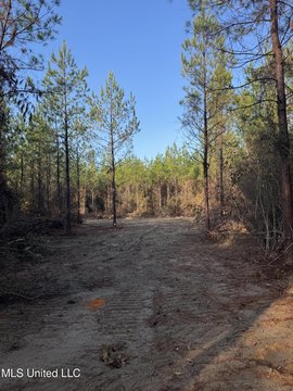 LAND - Perkinston, MS