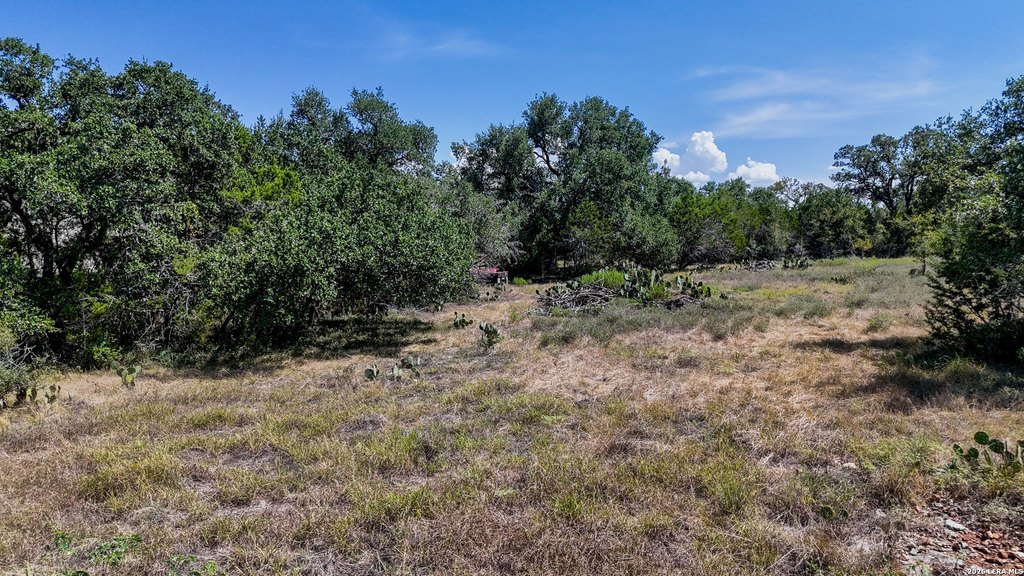 Picture 26