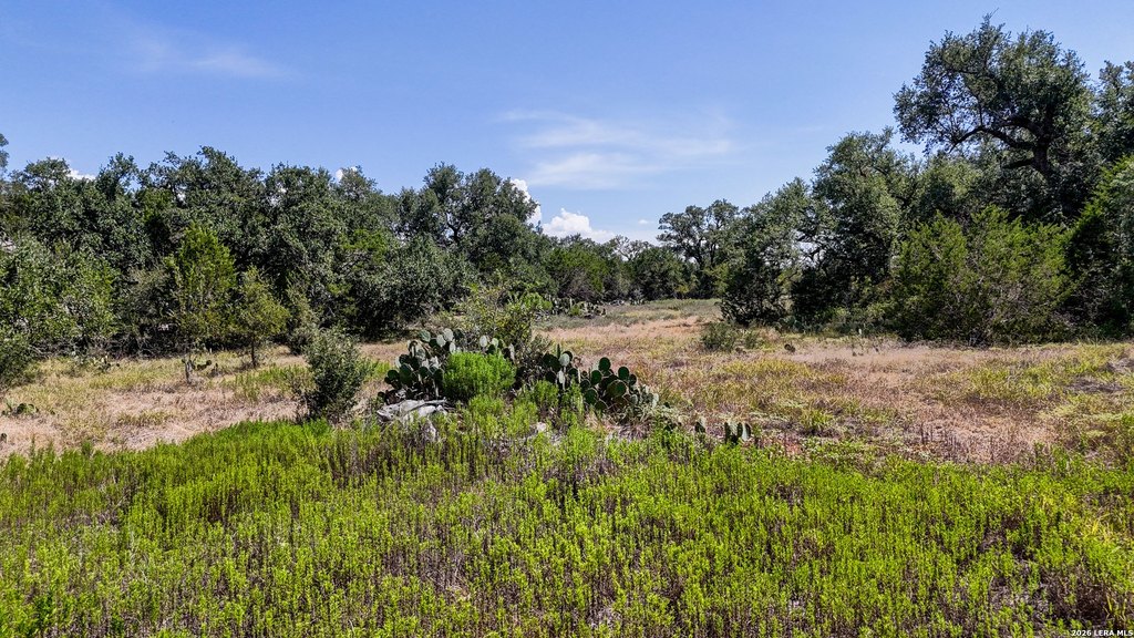Picture 25