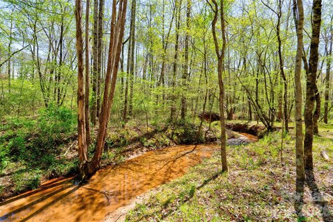 Unrestricted Land with Creek