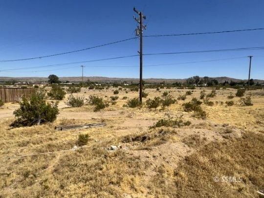 Picture 6