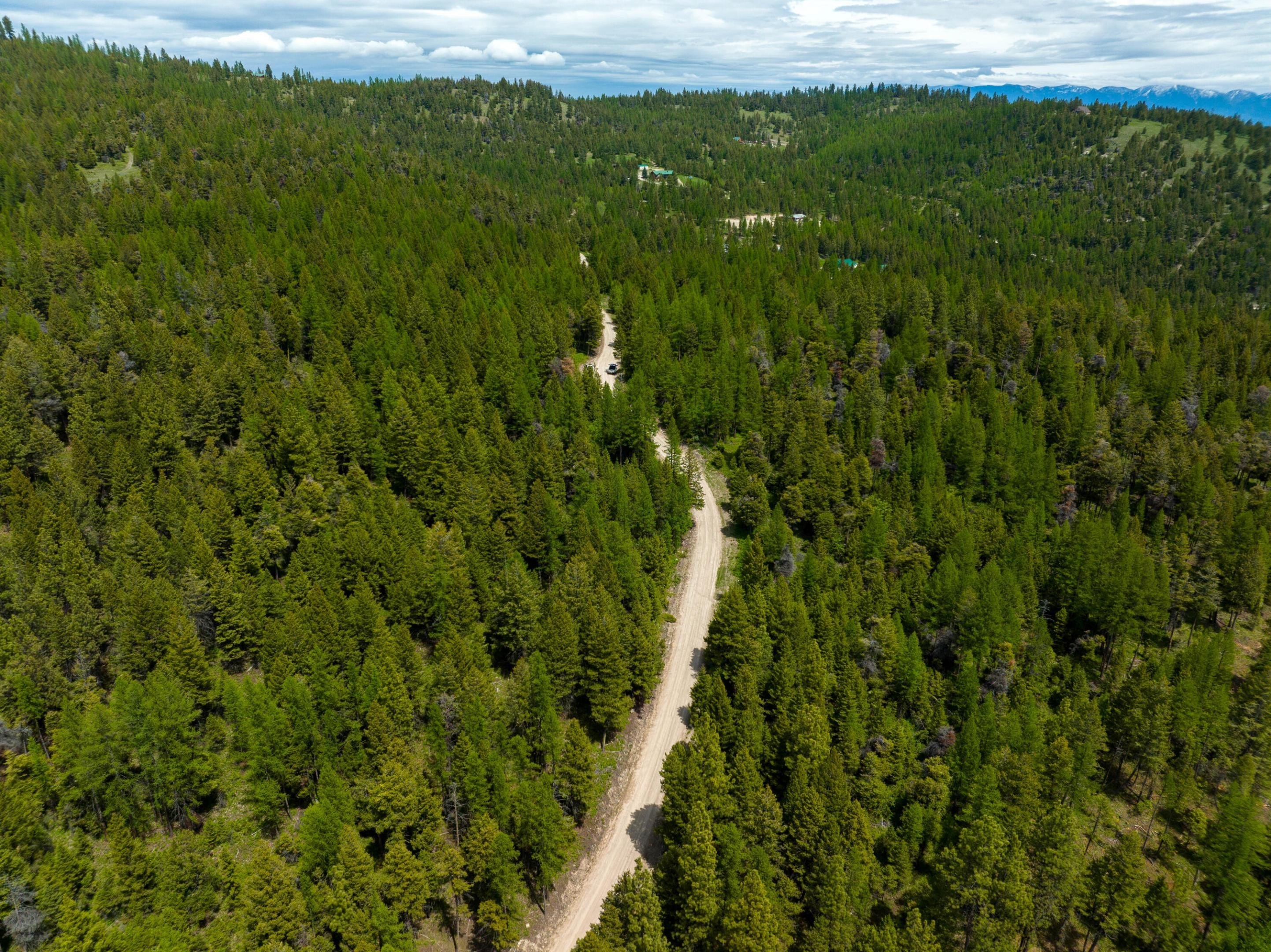 Montana Forestland Near Kalispell