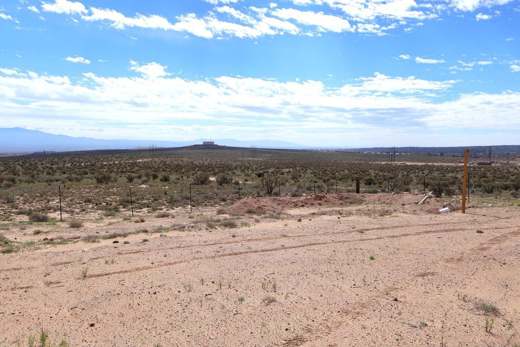 Picture 15