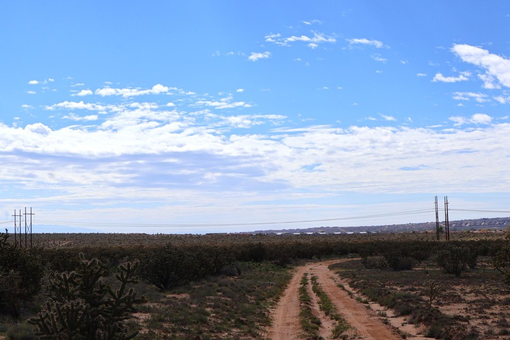 Picture 25