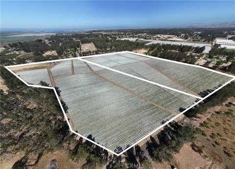 Organic Farmland on Arroyo Grande