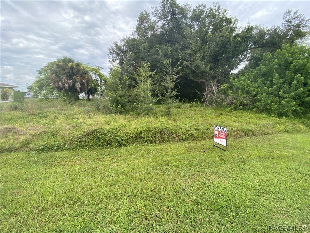 Picture 2