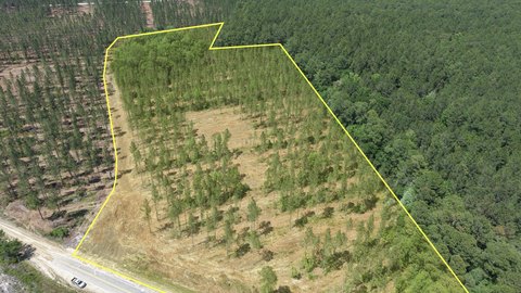 LAND - Brunswick, GA