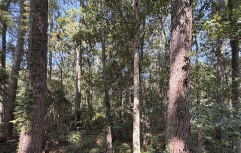 LAND - Tallahassee, FL