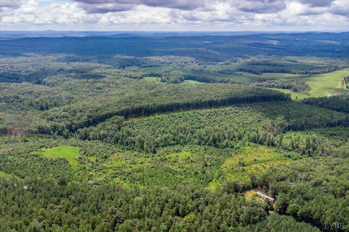 62 Acres in Amherst, VA
