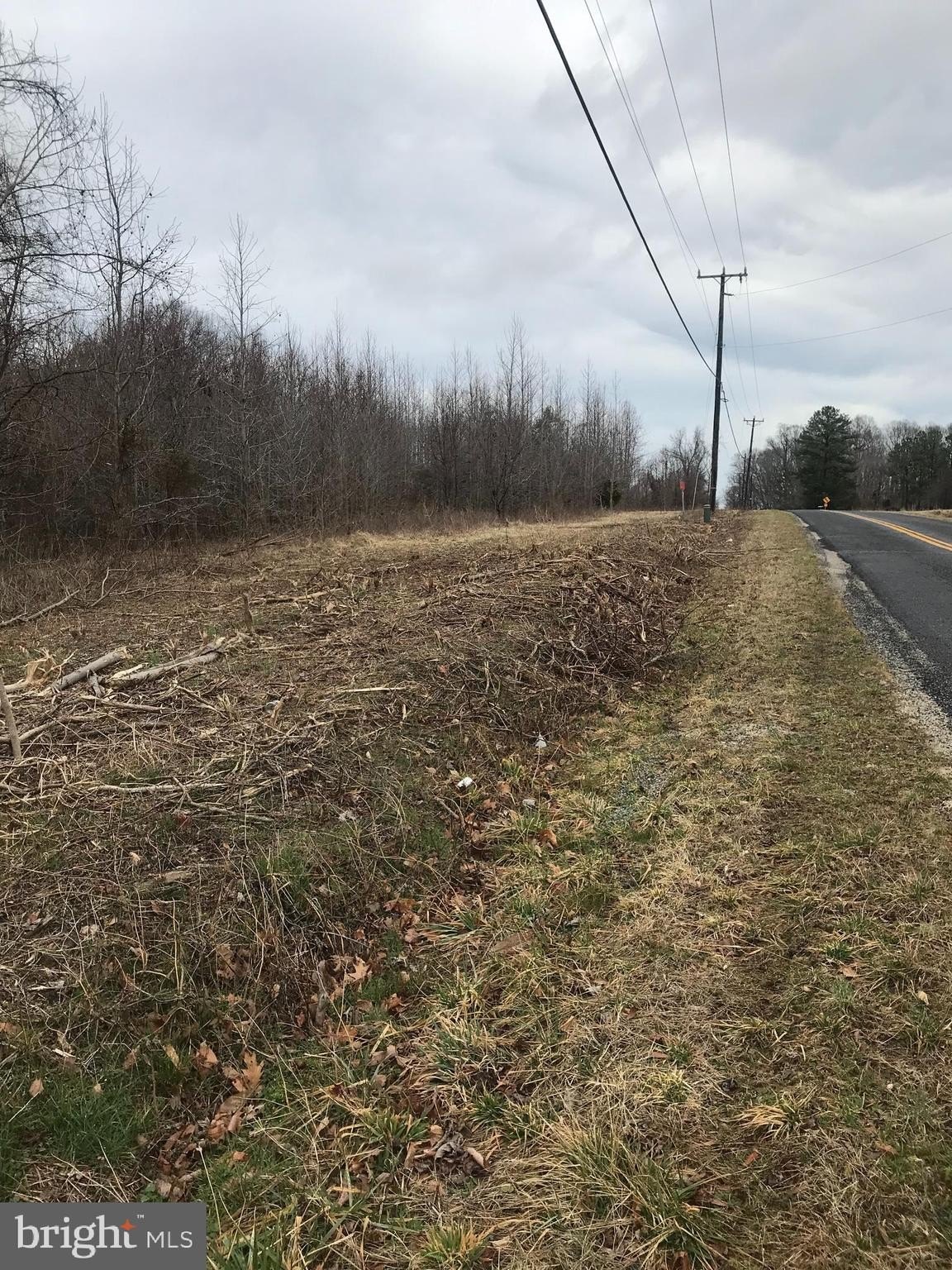 Wooded Acreage Near Nomini Creek