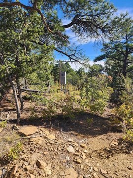 Secluded 40-Acre Land Parcel