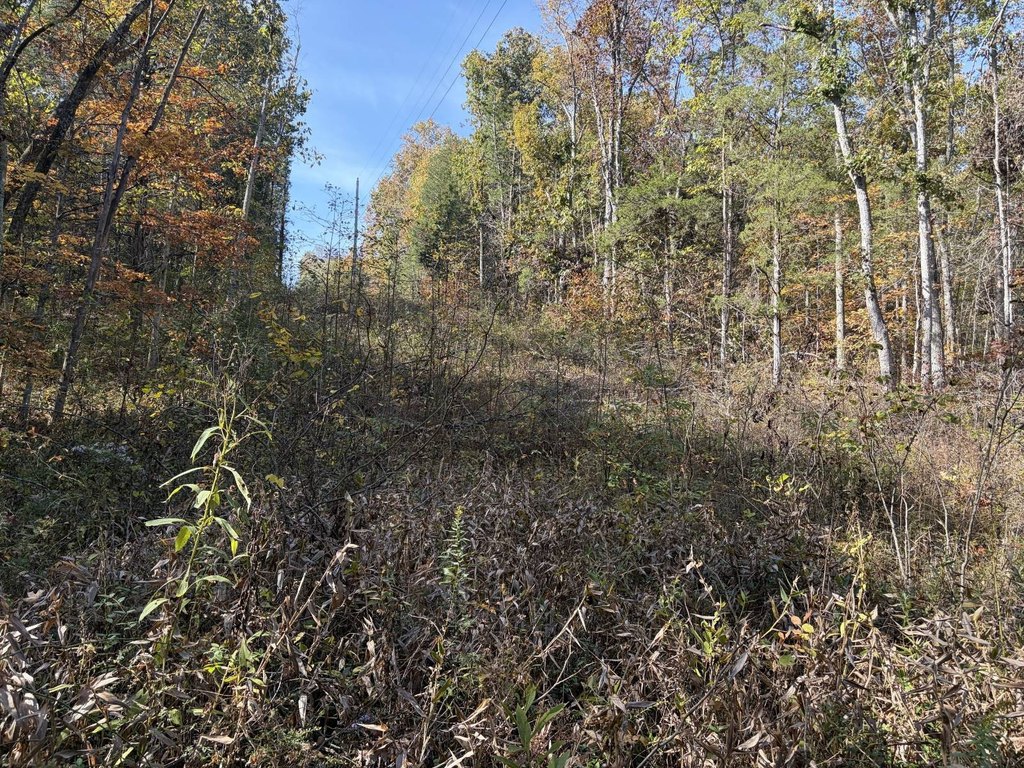 Picture 18