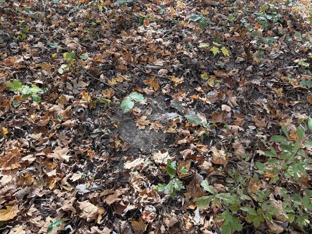 Picture 34