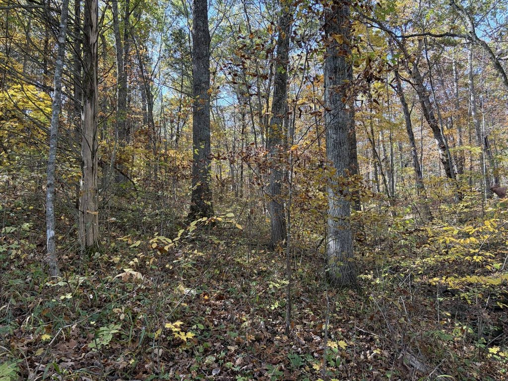 Picture 29