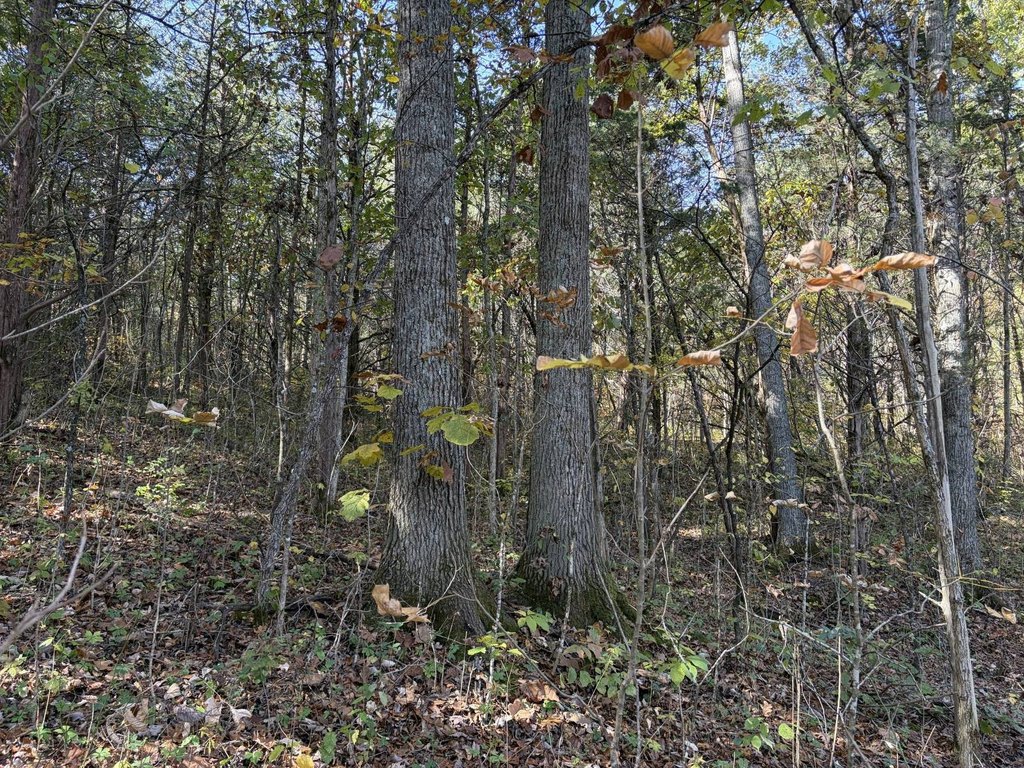 Picture 13