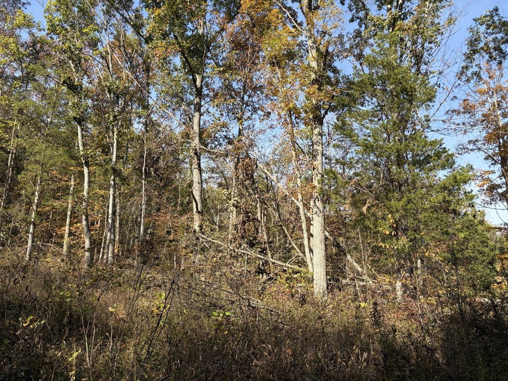 Picture 21