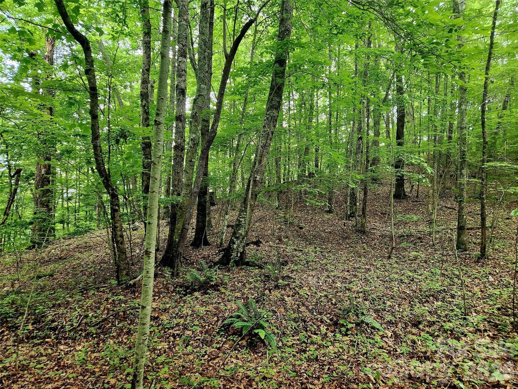 Picture 31