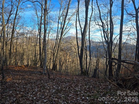 Land, Cullowhee, NC