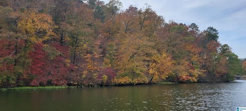 LAND - ROCKFORD, AL