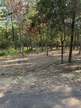 Land, Mabank, TX