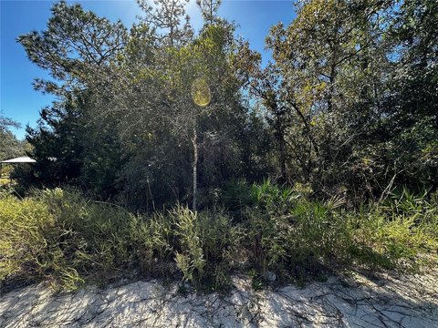 Land, BRONSON, FL