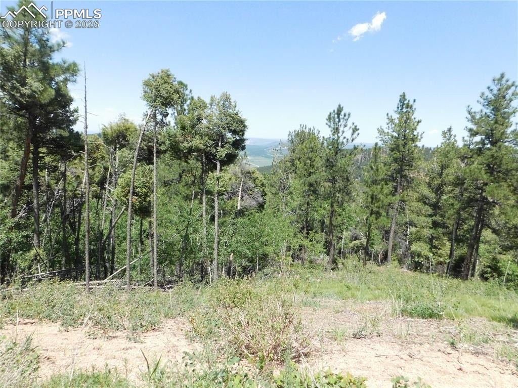 Larkspur Ready-to-Build Mountain Lot