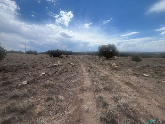Picture 13
