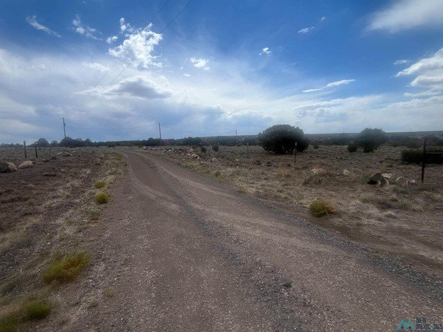 Picture 15