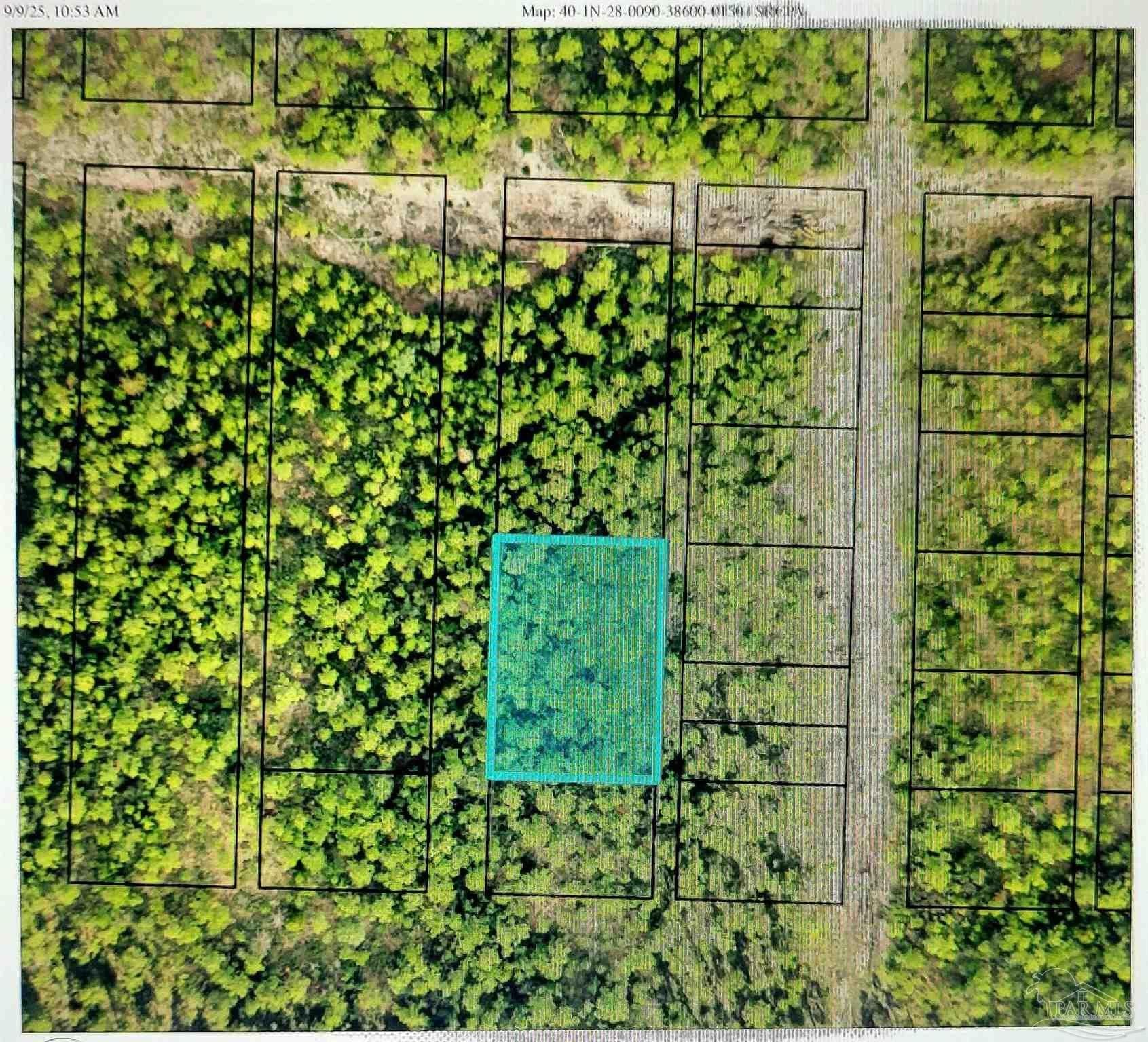 Secluded Wooded Land in Milton