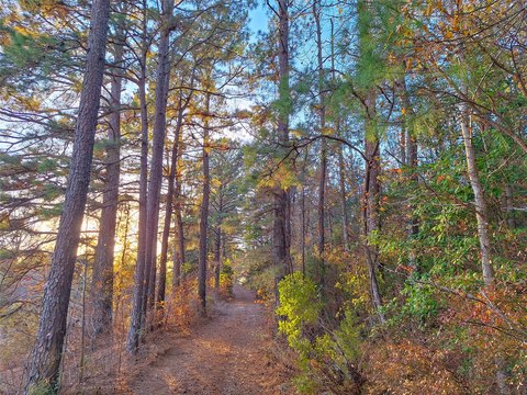 Wooded Recreational Land with Cabin
