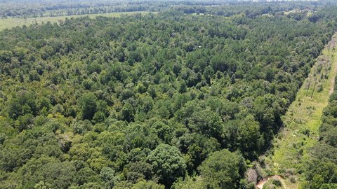 Wooded Recreational Land with Cabin