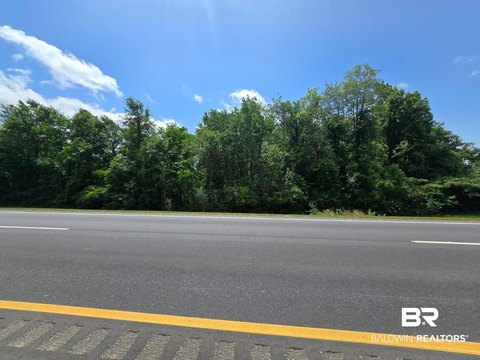 Wooded Commercial Land