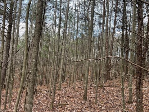 1.6 Acre Wooded Homesite