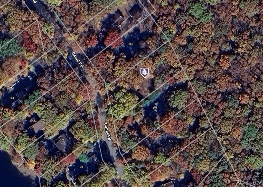 Picture 3