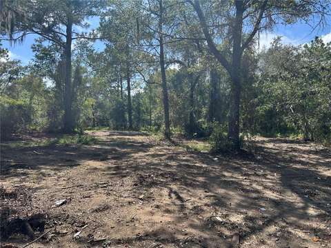 Land, WILLISTON, FL