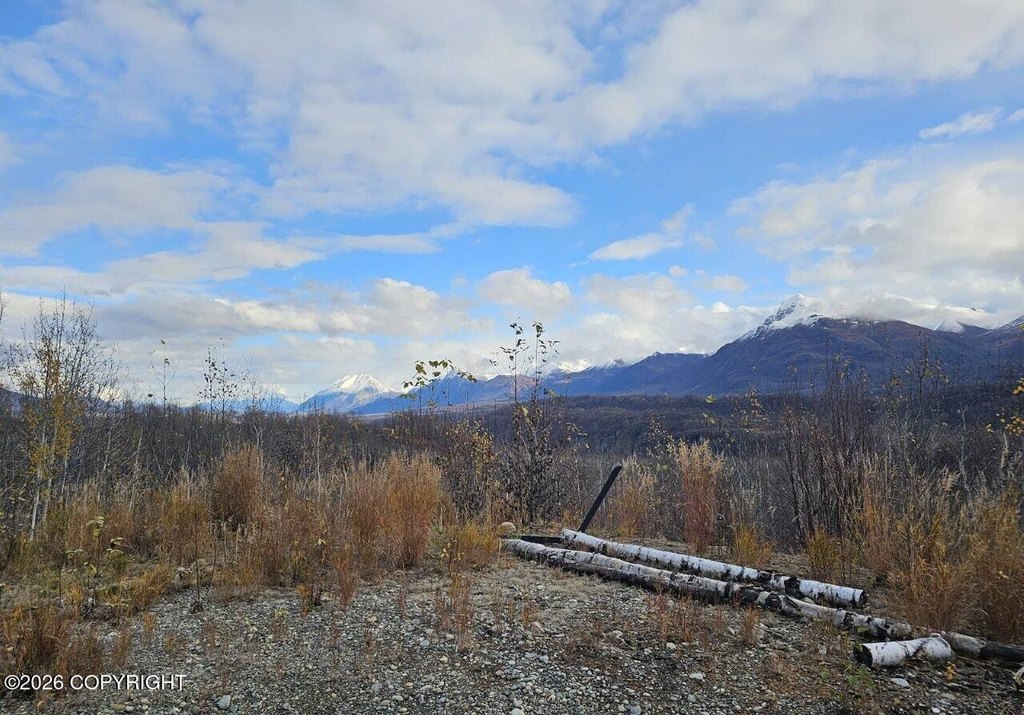 Picture 13