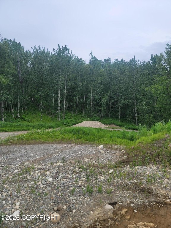 Picture 18