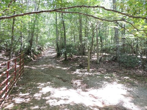 27+ Acres Wooded Land
