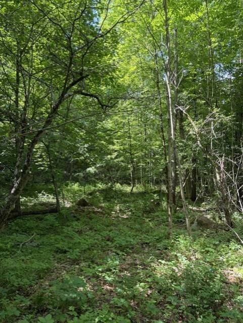 Picture 19