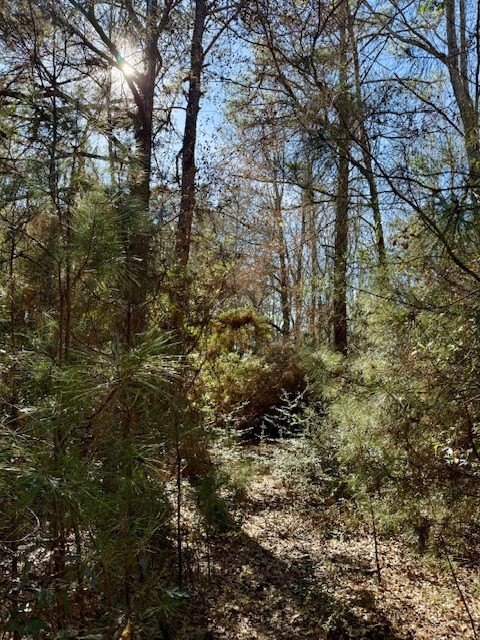 Picture 13